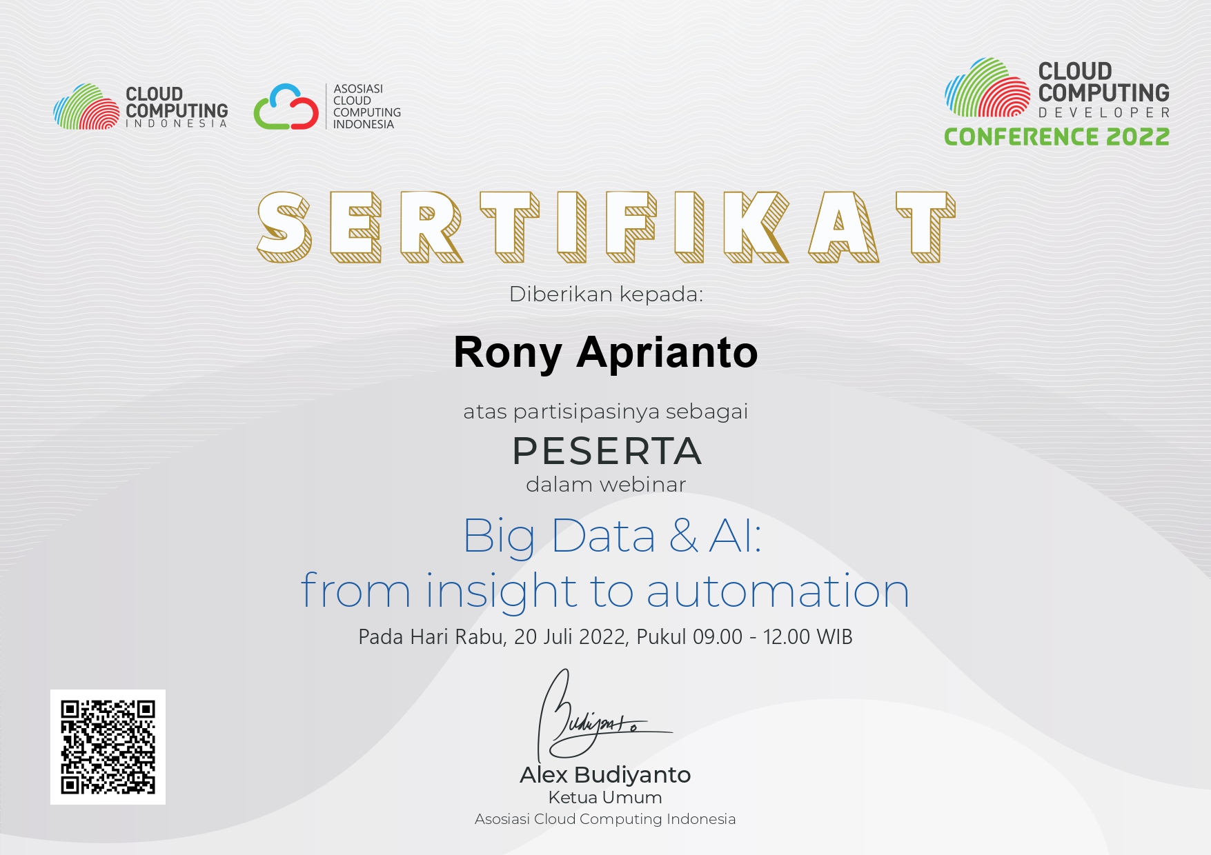 Big Data & AI: from Insight to Automation